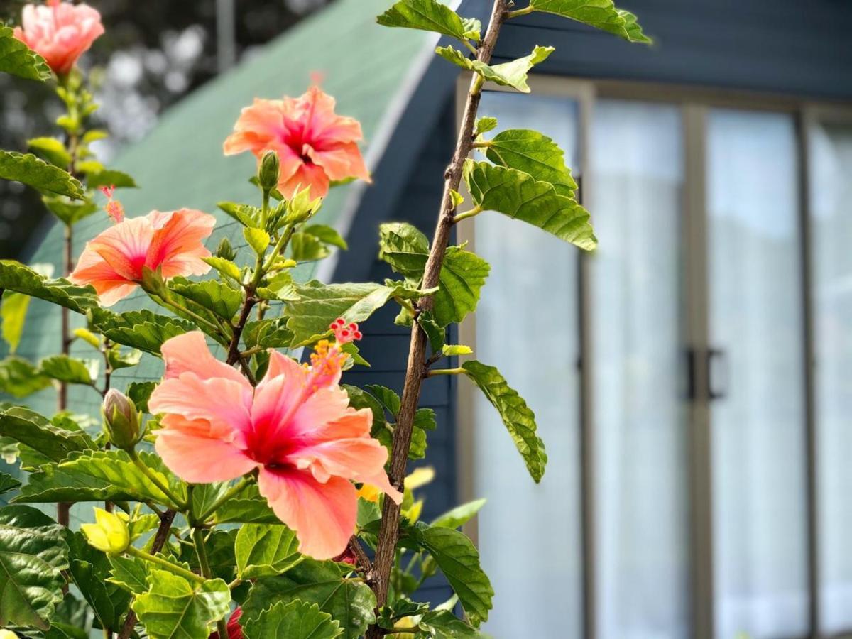Rangi Moana Villa Hanga Roa Luaran gambar